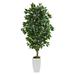 4.5' Ficus Artificial Tree in White Metal Planter - 54 inches