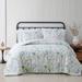 Cottage Classics Field Floral 2-Pc. Comforter Set by Pem America in Multi (Size TWINXL)