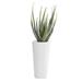 Juniper + Ivory 34 In. x 15 In. Contemporary Artificial foliage White Fiberglass - 64080