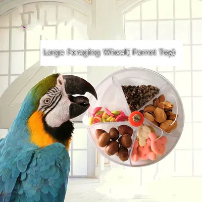 Mangeoires à oiseaux en acrylique, à roues classiques durables, conteneurs d'alimentation pour