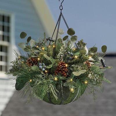 Christmas Blue Cedar Cordless Hanging Basket - Gra...