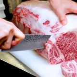 Homlux Chef Knife, 8 Inch Damascus Chef's Knife, AUS-10 Damascus Steel Japanese Knife w/ Ergonomic G10 Handle | Wayfair X002Z1UFG7-Chef Knife 8