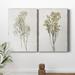 August Grove® Farmhouse Pressed Flower I - 2 Piece Graphic Art Set Canvas in White | 27 H x 36 W x 1 D in | Wayfair