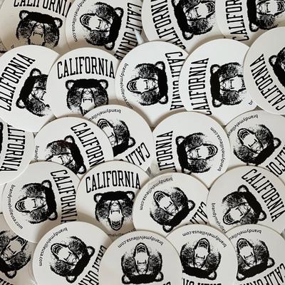 Brandy Melville Other | Brandy Melville “California Bear” Stickers | Color: Silver | Size: Os