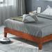 Red Barrel Studio® Huginn Low Profile Platform Bed Wood in Brown | 12 H x 53.5 W x 74.5 D in | Wayfair B926DB7F51304A8BB5E7A8BEC1B65486