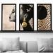 Rosdorf Park Afrique Model 7 by Jodi - 3 Piece Picture Frame Graphic Art Plastic/Acrylic in Black/Brown | 52.5 H x 33.5 W x 1 D in | Wayfair