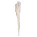 Vickerman 653890 - 36" Bleached Plume Reed Bundle (H1PLR999) Dried and Preserved Reeds and Bamboo