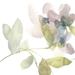 Red Barrel Studio® Sweet Petals & Leaves II by Jennifer Goldberger - Wrapped Canvas Print Canvas in Green/Pink | 12 H x 12 W x 1.25 D in | Wayfair