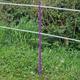 Purple 5FT Poly Post 155cm Tall Plastic Fencing Stake | Reinforced Electric Fence Pole | Ideal for Temporary Horse Electric Fences | Portable Paddock Fencing Equestrian Livestock Grazing Control (40)