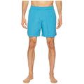 The North Face Men's Class V Pull-On Trunk Bluejay Large