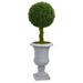 3' Braided Boxwood Topiary Artificial Tree - 12"D x 12"W x 36"H