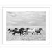 Joss & Main Horse Run I by PHBurchett - Picture Frame Photograph Paper, Solid Wood in Black/Gray/White | 15 H x 18 W x 1 D in | Wayfair