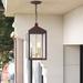 Mercury Row® Tucana 3 -Bulb Outdoor Hanging Lantern Brass/Glass/Metal in Brown | 18.5 H x 8.25 W x 8.25 D in | Wayfair