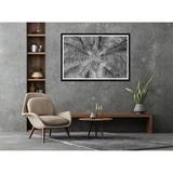 Tim Klein Photography Tropical Palm In Black & White Paper in Black/White | 35.5 H x 54.75 W x 1.5 D in | Wayfair TKP-03574-7-5235-H-B