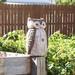 Loon Peak® Tonks Woodland Owl Statue Ceramic in Brown | 13 H x 6.5 W x 8 D in | Wayfair D6A39EABB50C420A8B20A738AC79E95C
