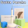 Système d'obturation dentaire sans fil Gutta Percha Endodoncia racine Cannal chauffage Plugger