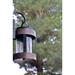 Williston Forge Bentall Weathered Oak 7.75" H Outdoor Wall Lantern Glass/Metal/Steel in Gray | 13.5 H x 5.25 W x 7.5 D in | Wayfair