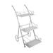Orchies Metal 3-tiered Plant Stand