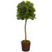 Primrue 64” Fiddle Leaf Artificial Tree In Decorative Planter (Real Touch) | 64 H x 19 W x 16 D in | Wayfair 4800396115194A788E4B196E7784D86E