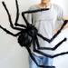The Holiday Aisle® Hairy Spider For Halloween Decoration in Black, Size 78.8 W x 0.0 D in | Wayfair FC80C6DA2E8A49909F6FE488404F6F6B