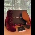 Coach Shoes | Coach Edie Vel Bootie | Color: Black/Brown | Size: 8
