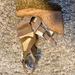 Michael Kors Shoes | Michael Kors Wedge Cork Sandals | Color: Brown/Tan | Size: 10