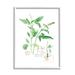 Stupell Industries Basil Plant Best Of Herbs Watercolor Garden Greens XXL Stretched Canvas Wall Art By Verbrugge Watercolor in Brown | Wayfair