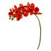 21" Phalaenopsis Orchid Artificial Flower (Set of 6) - Height: 21 In.