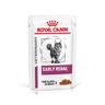 Royal Canin Early Renal Feline Veterinary umido gatto - Set %: 24 x 85 g