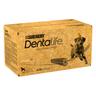 PURINA Dentalife Snack per igiene dentale dei cani di tg grande (25-40 kg) - Set %: 2 x 72 Stick (48 x 106 g)