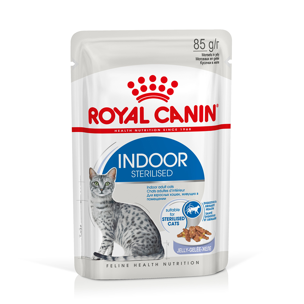 Royal Canin Indoor Sterilised umido in Gelatina per gatti - Set %: 96 x 85 g