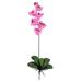 Phalaenopsis Silk Orchid Flower w/Leaves (6 Stems) - H: 31.5 In. W: 8.5 In. D: 3 In.
