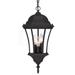 Acclaim Lighting Bryn Mawr 19 Inch Tall 3 Light Outdoor Hanging Lantern - 5026BK
