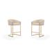 Manhattan Comfort Louvre 36 in. Titanium Gold Stainless Steel Counter Height Bar Stool (Set of 2)