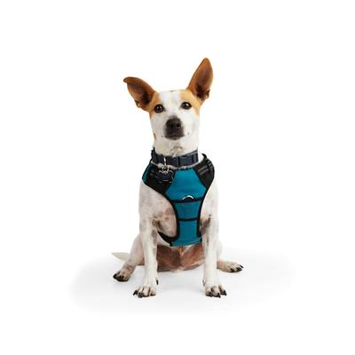 EveryYay Front Walking Reflective Dog Harness, Teal, Large/X-Large