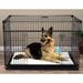 Lucky Dog Sliding Door Crates Pet Crate w/ Sliding Double Door in Black | 33 H x 30 W x 48 D in | Wayfair ZW 51548