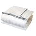 Silk-Filled 260 Thread Count Damask Stripe Blanket by LCM Home Fashions, Inc. in White (Size FL/QUE)