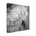 Latitude Run® Dark Ranunculus I by Judy Stalus - Wrapped Canvas Photograph Canvas, Wood in Black/Gray/White | 14 H x 14 W x 2 D in | Wayfair