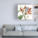 Red Barrel Studio® Cropped Antique Botanical VI by Vision Studio - Wrapped Canvas Graphic Art Canvas, in Gray/Green/Orange | Wayfair