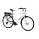 F.lli Schiano E-Moon 28 Zoll E-bike Pedelec , e bike electric Fahrrad für Herren / Damen bis 25 km/h und mit guter Reichweite , Elektrofahrräder mit Gepäckträger , Herrenfahrrad mit Motor und 36V Akku