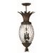 Hinkley Lighting Plantation 28 Inch Tall 4 Light Outdoor Hanging Lantern - 2222CB