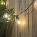 Northlight Seasonal 10ct Warm LED G50 Globe Patio Lights 10ft Green Wire in White | 3 H x 2 W x 120 D in | Wayfair NORTHLIGHT YS90310