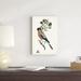 Red Barrel Studio® Antique Bird, Botanical & Egg IV Canvas in Black/Green/Orange | 18 H x 12 W x 1.25 D in | Wayfair