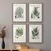 Gracie Oaks Collected Ferns I - 4 Piece Picture Frame Painting Set Paper, Bamboo in Black/Blue/Green | 72 H x 24 W x 1.5 D in | Wayfair