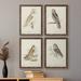 Loon Peak® Barn Owl Premium Framed Canvas - Ready To Hang Canvas, Wood in Gray/Green | 1.5 D in | Wayfair E02A28F8E7F7481DAF59741A3D96FF83