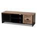 Connell Modern & Industrial 2-Door Wood TV Stand In Natural Brown