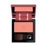 Diego dalla Palma - Polvere Compatta Per Guance Blush 5 g Oro rosa unisex