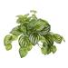 11" Watermelon Peperomia Hanging Artificial Bush Plant (Set of 12) (Real Touch) - 9"W x 7"D x 11"H