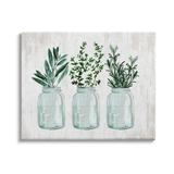 Stupell Industries Kitchen Herb Trio Garden Spices Country Glass Jars By Lettered & Lined Canvas in Green | 24 H x 30 W x 1.5 D in | Wayfair