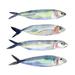 Rosecliff Heights Sardine Team I by Annie Warren - Wrapped Canvas Painting Canvas | 12 H x 12 W x 1.25 D in | Wayfair